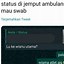 Contoh Chat Admin Slot Lucu Di Amerika Serikat Untuk Wanita Indonesia